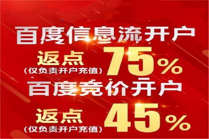 百度竞价策略成功案例：如何做到日赚千元